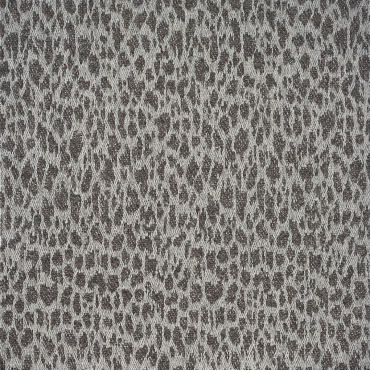 Cheetah CARBON