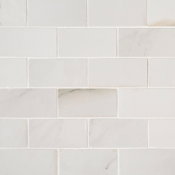 Aria Bianco