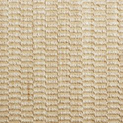 Didoron Seashell