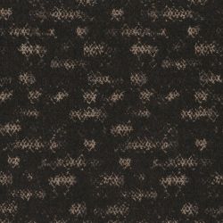 Evoke DARK ROAST