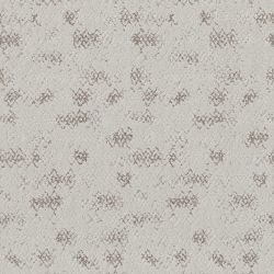 Evoke GREY FOX