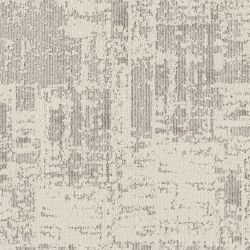 Discover CANVAS