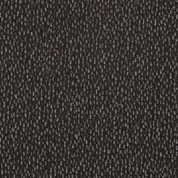 Ambitious CHARCOALS