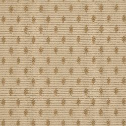 French Knot Desert Sand