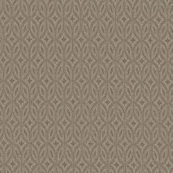 Enlightened TOASTY GRAY