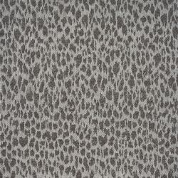 Cheetah CARBON