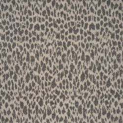 Cheetah SAVANNAH