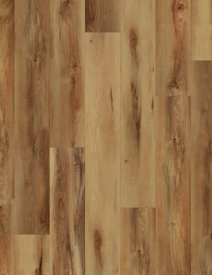 HICKORY ヒッコリーCustom Pro 定価 27500 85cm HICKORY ヒッコリーCustom Pro 定価 27500 85cm