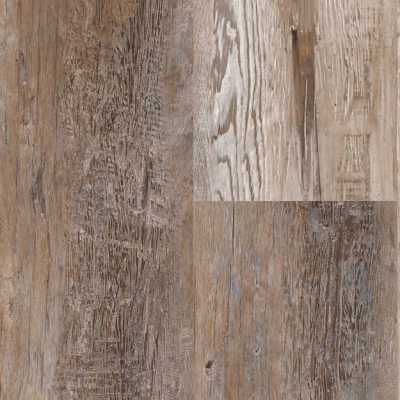 邦楽 The Floor CLOVER 邦楽 The Floor CLOVER 邦楽 The Floor CLOVER