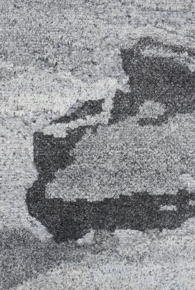 img alt