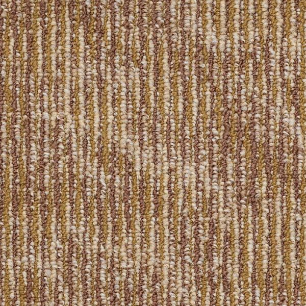 Philadelphia Relativity Ripple Effect Echo Collection