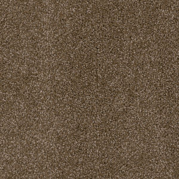 SHAW FLOORS PERSPECTIVE PATH BLACK WALNUT Collection