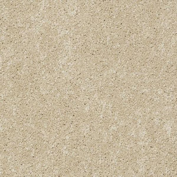 TUFTEX MURPHY BISCUIT Collection