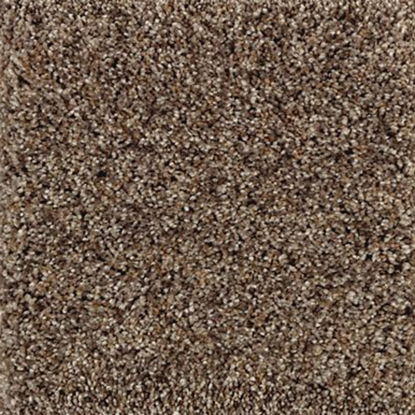 Mohawk Completely Composed (f) Mineral Beige (f) Collection