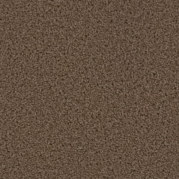 Dream Weaver Cedar Creek Latte Collection