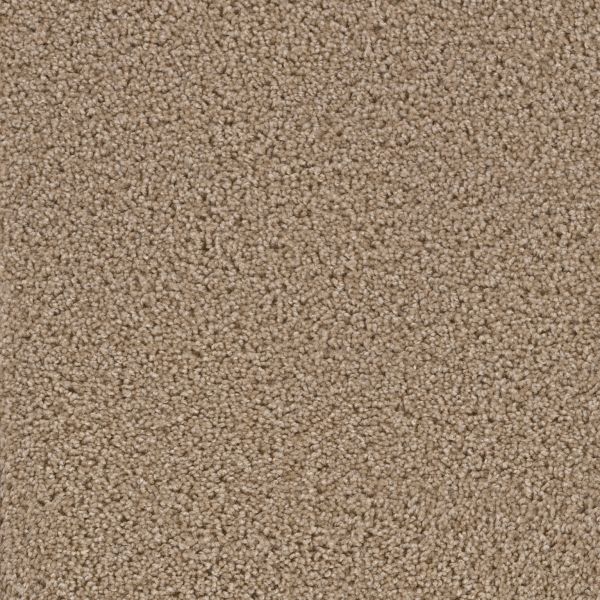 Dream Weaver Cedar Creek Buff Collection