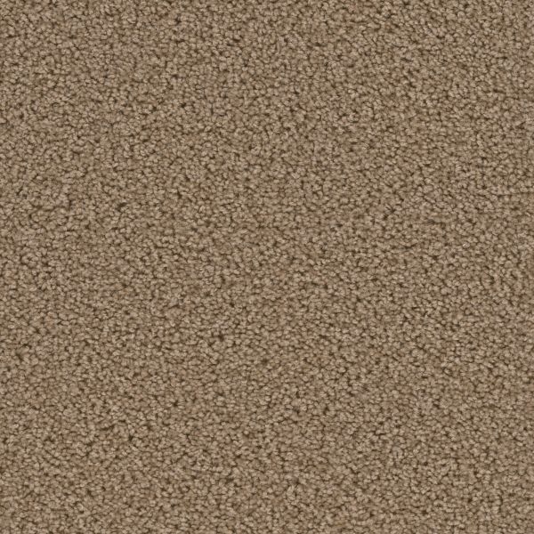 Dream Weaver Broadcast Honey Beige Collection