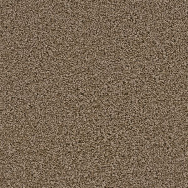 Dream Weaver Broadcast Balsam Collection