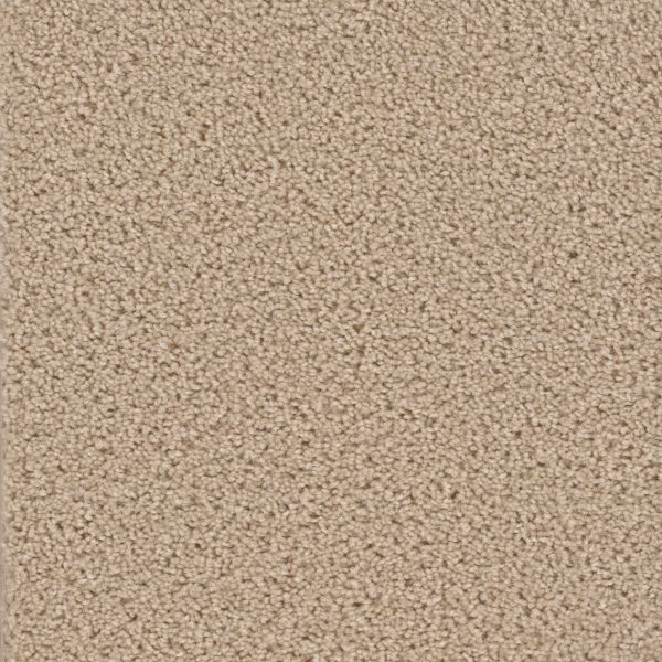 Dream Weaver Broadcast Cookie Dough Collection
