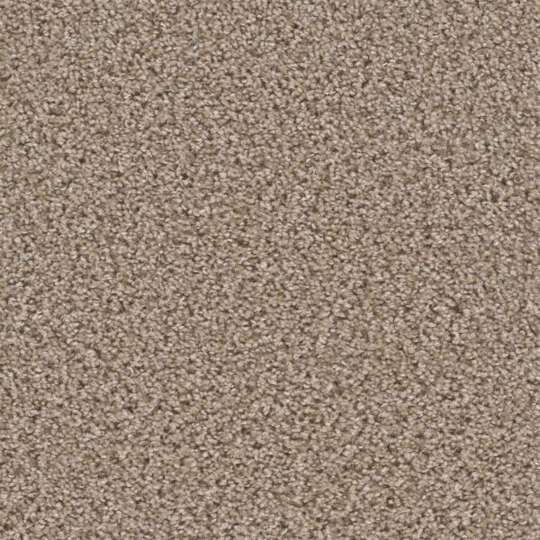 Dream Weaver Broadcast Almond Collection