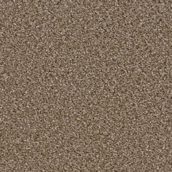 Dream Weaver Broadcast Chestnut Collection