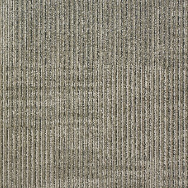 Lifetime Geneva Khaki Collection