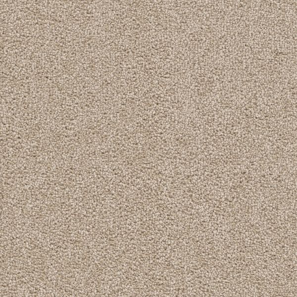 Dream Weaver Cape Cod Sand Collection