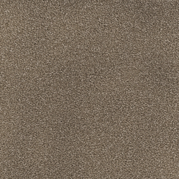 Dream Weaver Montauk Cocoa .000 Collection