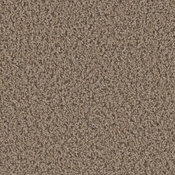 Dream Weaver Toast Of The Town Vellum Collection