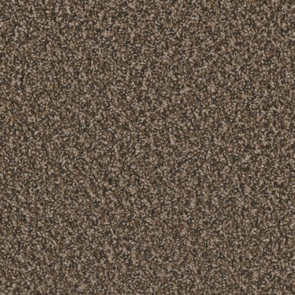 Dream Weaver Toast Of The Town Black & Tan Collection