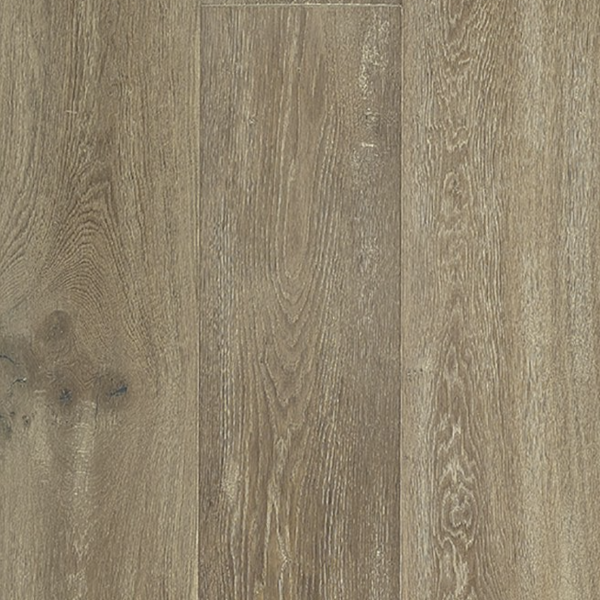 Monarch Shoreline II Allier Collection