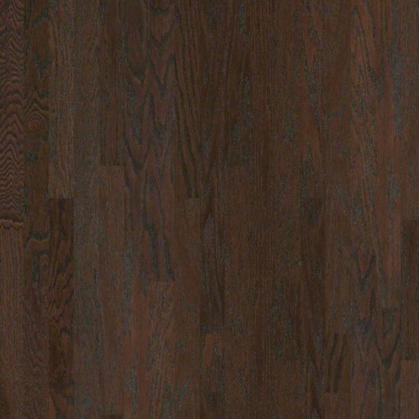 Shaw Epic Plus Albright Oak 3 1/4" Coffee Bean Collection