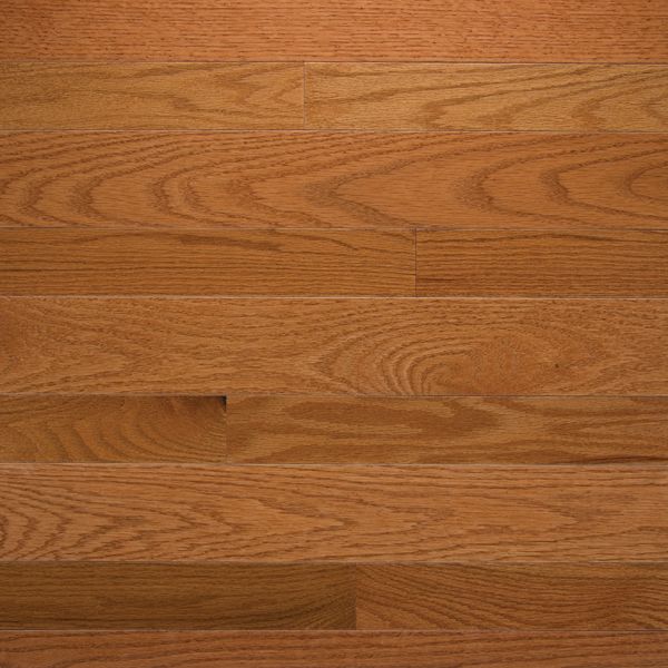 Somerset Hardwood High Gloss Butterscotch - 2 1/4" Collection