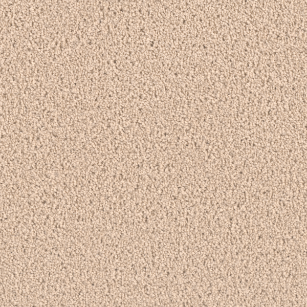 Dream Weaver Exceptional II Eggshell Collection
