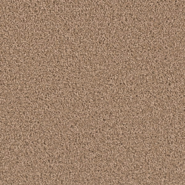 Dream Weaver Exceptional II Sable Collection