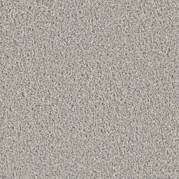 Dream Weaver Exceptional II Silver Birch Collection
