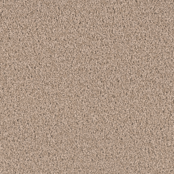 Dream Weaver Exceptional II Hazelnut Cream Collection