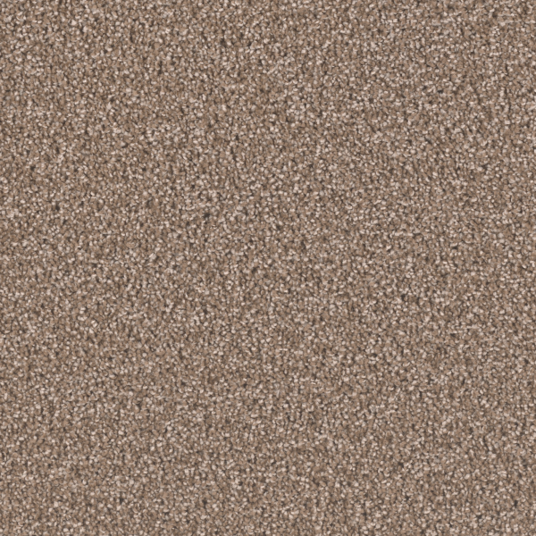 Dream Weaver Exceptional II Tumbleweed Collection