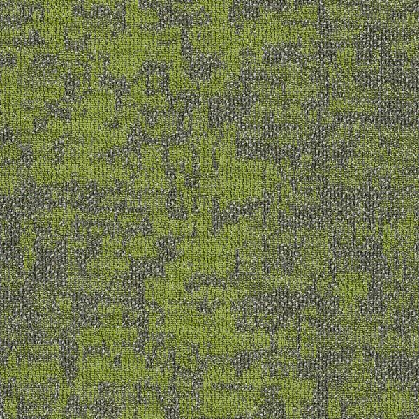 Philadelphia Modern Terrain Arid Taiga Collection