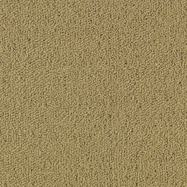 Philadelphia Color Accents 24x24 Pecan Collection