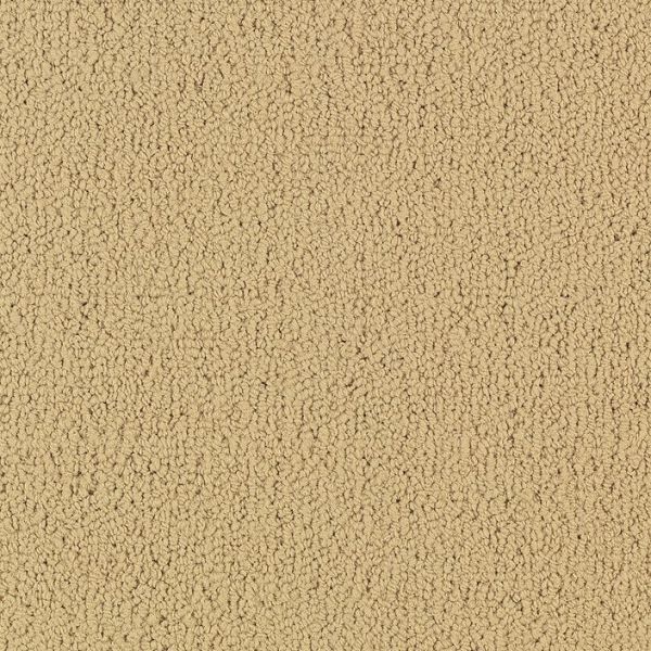 Philadelphia Color Accents 24x24 Flax Collection