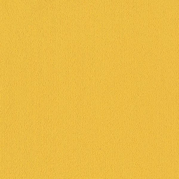 Philadelphia Color Accents 24x24 Citrus Collection