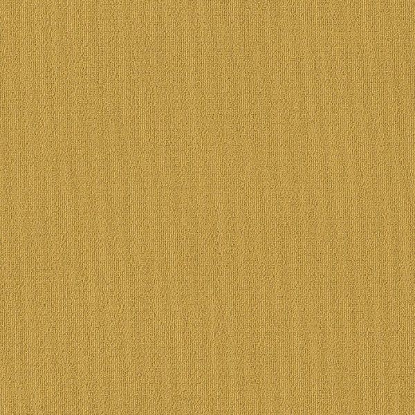 Philadelphia Color Accents 24x24 Ochre Collection