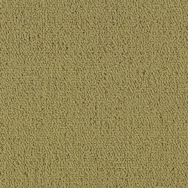 Philadelphia Color Accents 24x24 Herbal Collection