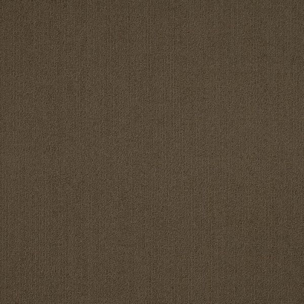 Philadelphia Color Accents 24x24 Timber Collection