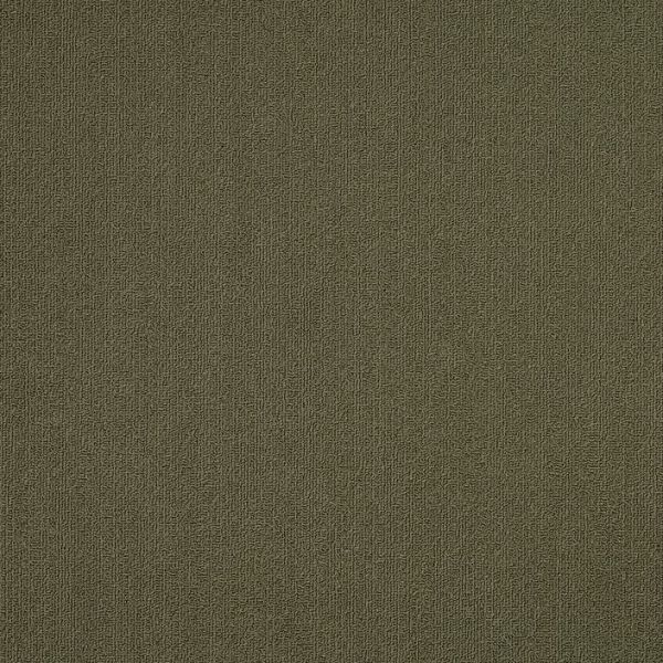 Philadelphia Color Accents 24x24 Ivy Collection