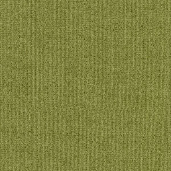 Philadelphia Color Accents 24x24 Green Collection