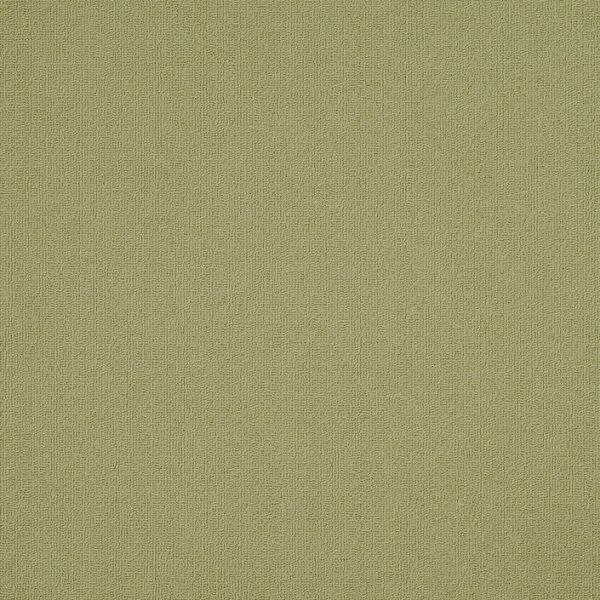 Philadelphia Color Accents 24x24 Fescue Collection