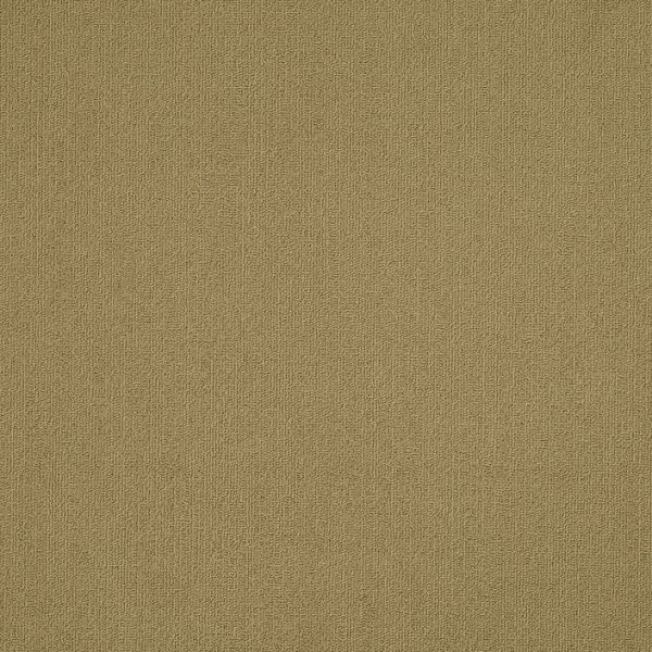 Philadelphia Color Accents 24x24 Aloe Collection