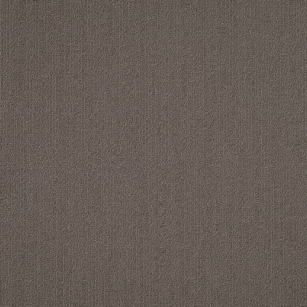 Philadelphia Color Accents 24x24 Taupe Collection